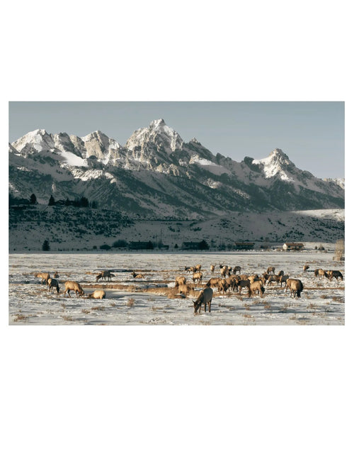 AFTON SKY RANCHES – EXCLUSIVE AVIATION LIVING IN THE HEART OF STAR VALLEY