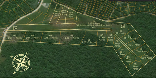 59 ACRES OF LAKE OF THE OZARKS, MO LAND WITH GRASS AIRSTRIP