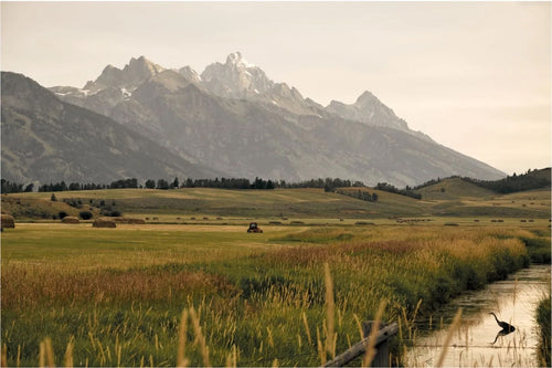 AFTON SKY RANCHES – EXCLUSIVE AVIATION LIVING IN THE HEART OF STAR VALLEY