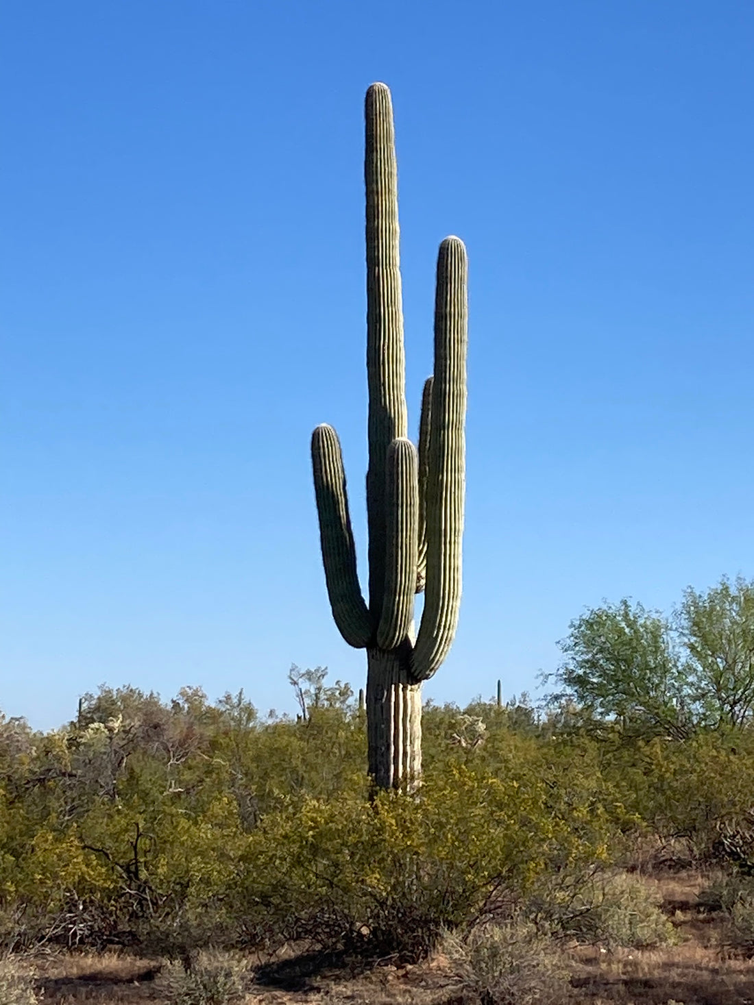 5.33 ACRES ON TWIN HAWKS AIRPARK AZ63