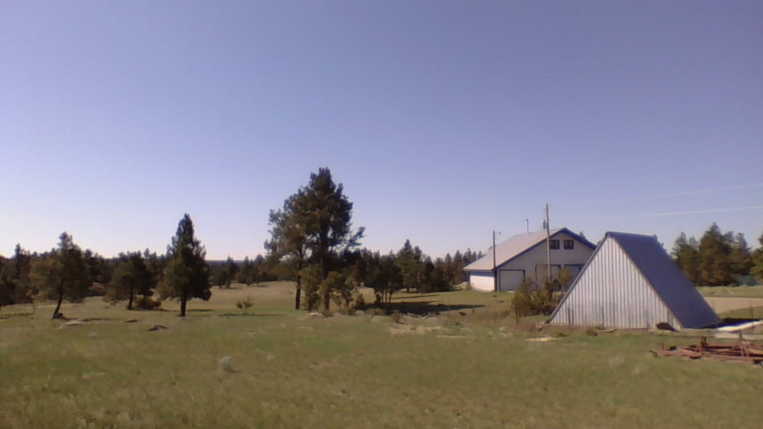 BARN/SHOP/HOUSE AIRSTRIP 20 ACRE RANCHETTE/RETREAT/EQUINE, BUSH PLANE & GRASS HELIPAD