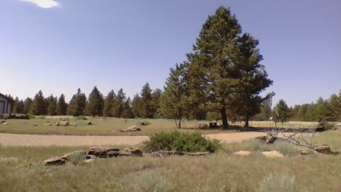 BARN/SHOP/HOUSE AIRSTRIP 20 ACRE RANCHETTE/RETREAT/EQUINE, BUSH PLANE & GRASS HELIPAD